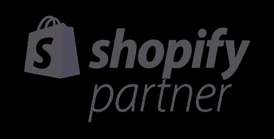 Shopify Partner